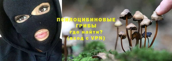 стафф Россошь