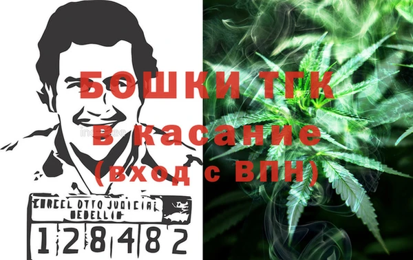 прущие грибы Алексеевка