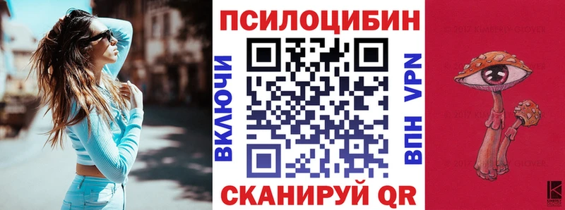 Псилоцибиновые грибы Psilocybe  Гаврилов Посад 