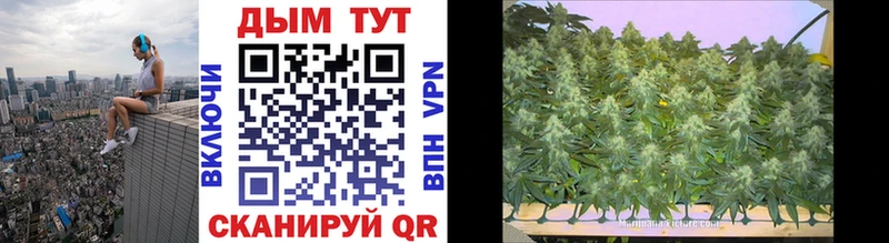 Бошки марихуана SATIVA & INDICA  Гаврилов Посад 